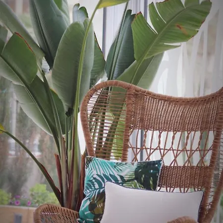 Apartamento Posidonia *